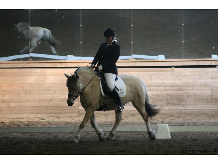 {{currentPhoto.altText}} billede {{currentPhoto.number}}