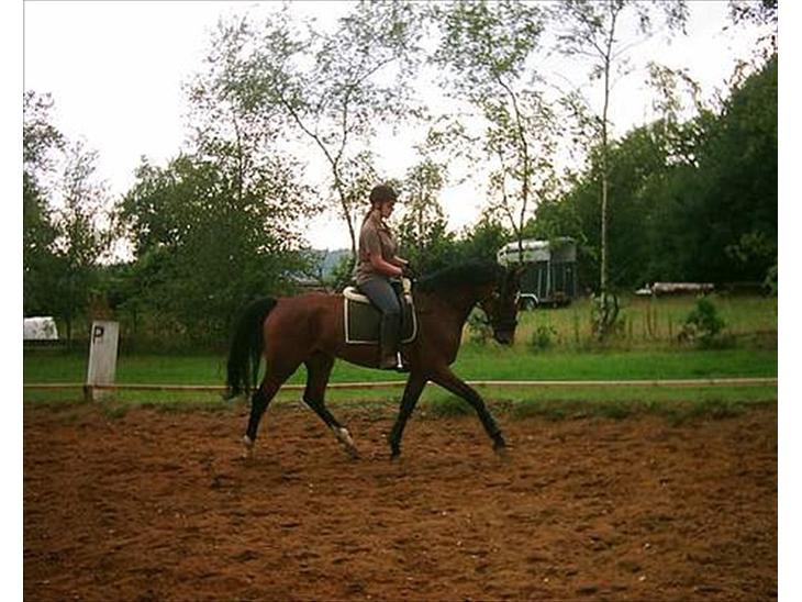 {{currentPhoto.altText}} billede {{currentPhoto.number}}