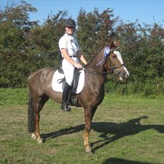 Hollandsk Sportspony Happy, dressur pony:D