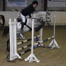 Anden særlig race Fanta SOLGT!