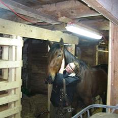 Traver Now Victory (gl. part)