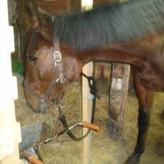 Traver Now Victory (gl. part)