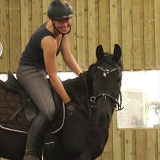 Dansk Varmblod Zoffia