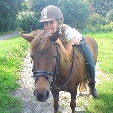 Anden særlig race Lotte