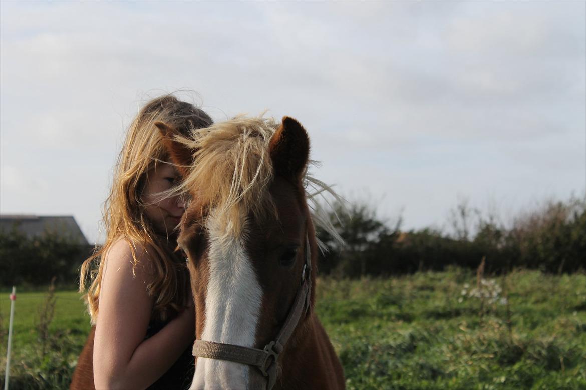 Anden særlig race mathilde - min lille pony billede 6