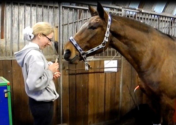 Anden særlig race Mister Gallon - Belønning efter et godt stævne :) billede 8