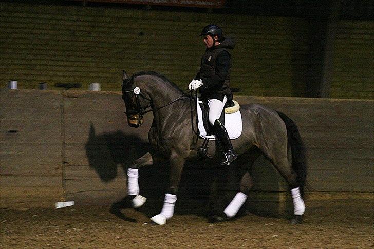 Dansk Varmblod Hønnerups Force - Force og Jim Rasmussen, 26/11-11. LA2 - 1 plads med 73,448%! billede 14