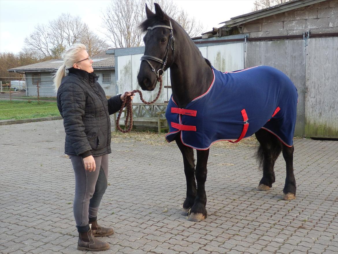 Frieser Like Jebjerg billede 15