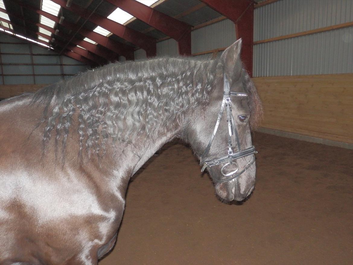 Frieser Like Jebjerg billede 9