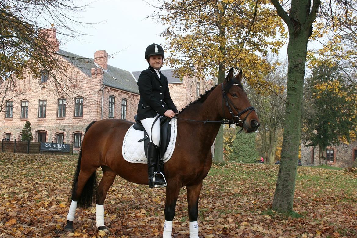 Anden særlig race Rosa - stævne:-D billede 2