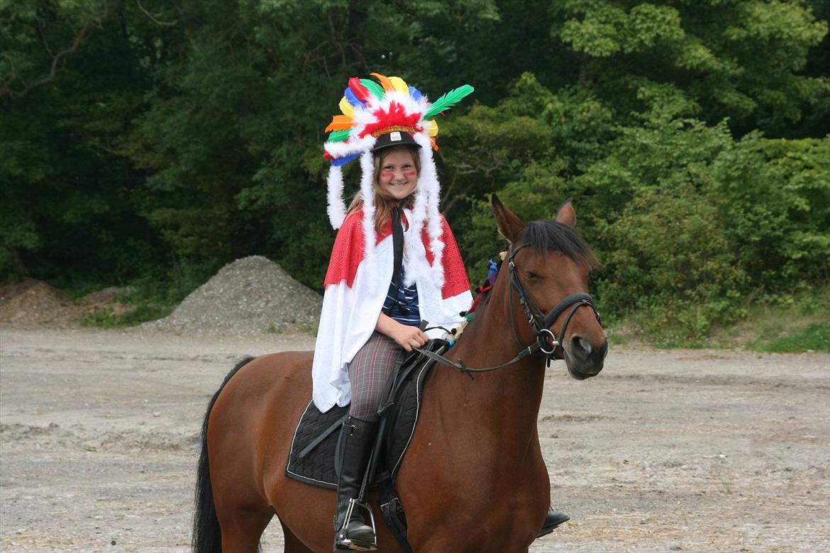 Anden særlig race Rosa - ridelejer/ opvisning:-D billede 18