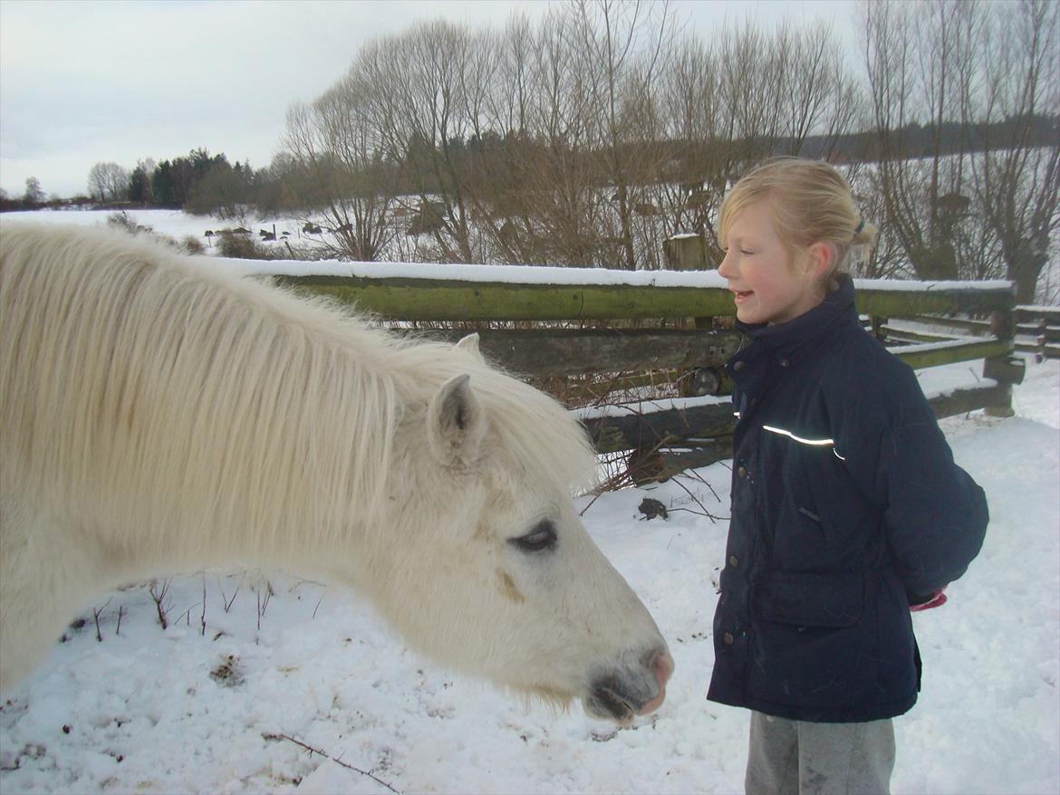 Anden særlig race mickey <3 Himmelhest <3 billede 3