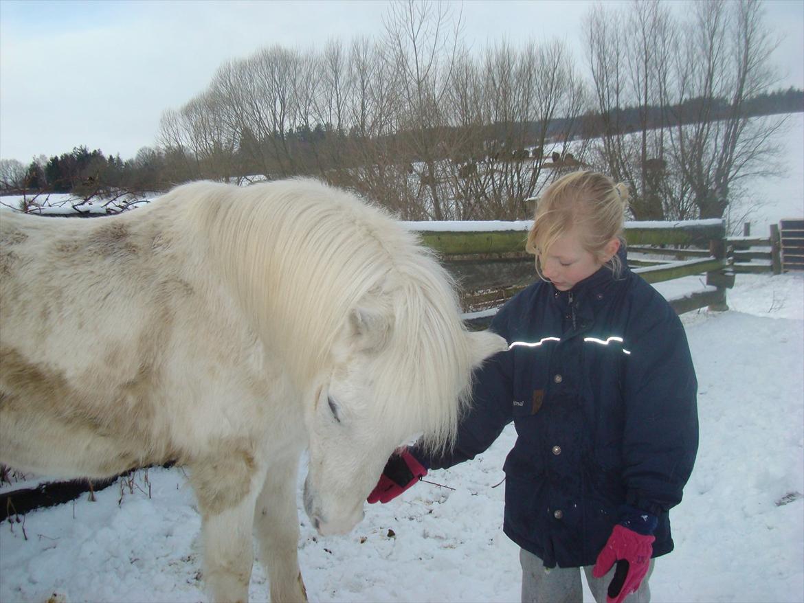 Anden særlig race mickey <3 Himmelhest <3 billede 4