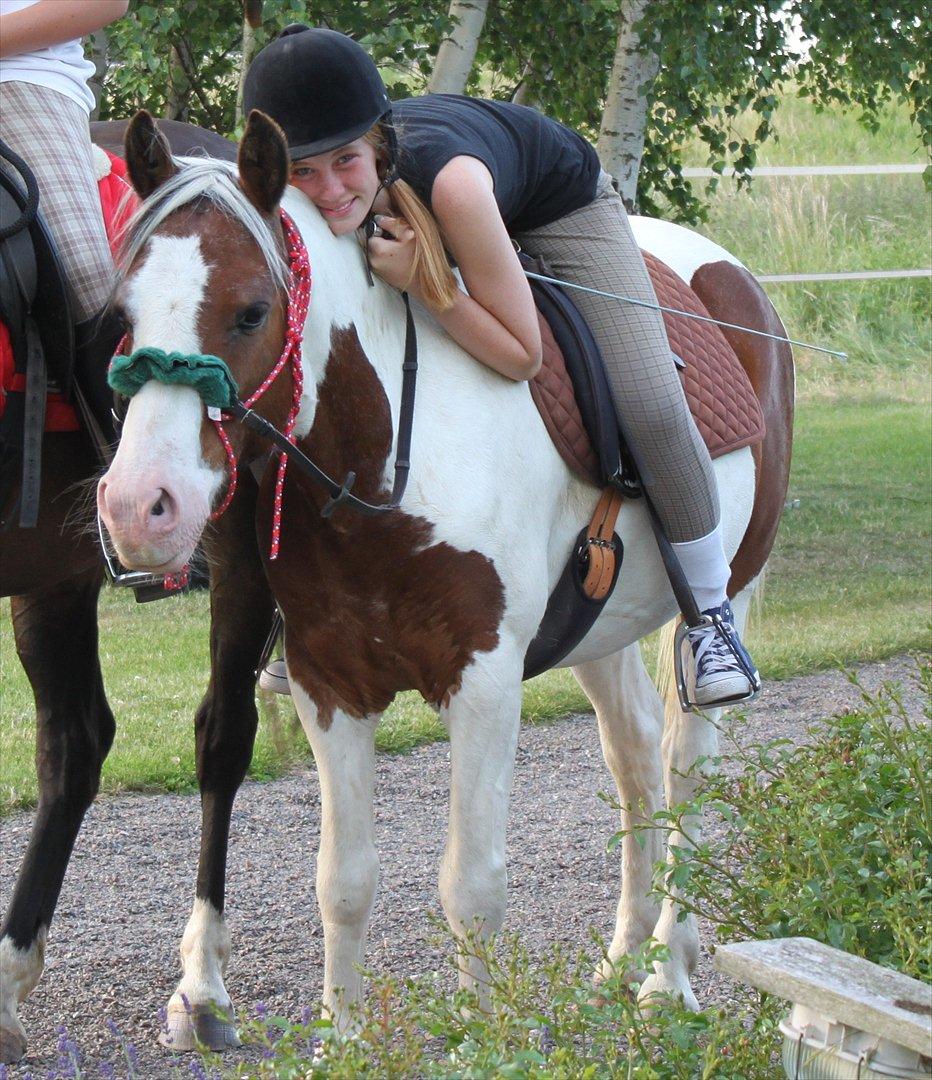 Pinto Blanding Gismoe - #19 Ridelejren 2011 hjemme hos mig :D på vej til tur i rebgrime :) Du så dejlig foto:Min mor  billede 19