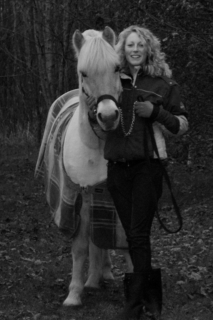 Fjordhest Odin - i børneskoven<3<3  billede 16