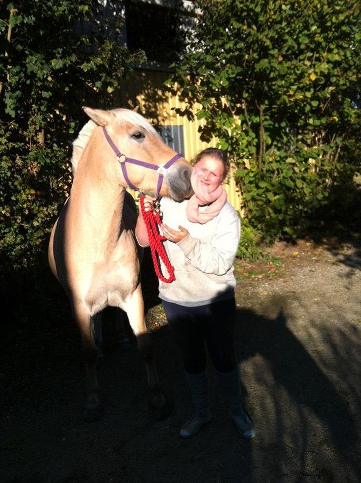 Fjordhest Anna | Min bedste ven - Anna og jeg, i en hyggestund og et ordenligt smæk kys xD
OKT. 2011 billede 14