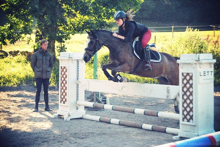 Hollandsk Sportspony Lucky - Sommer 2010
Udendørstræning på Egene..
Min elskede og savnede pony :( billede 18