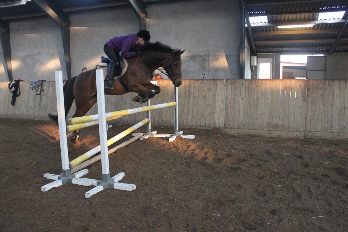 DSP Anton  billede 4