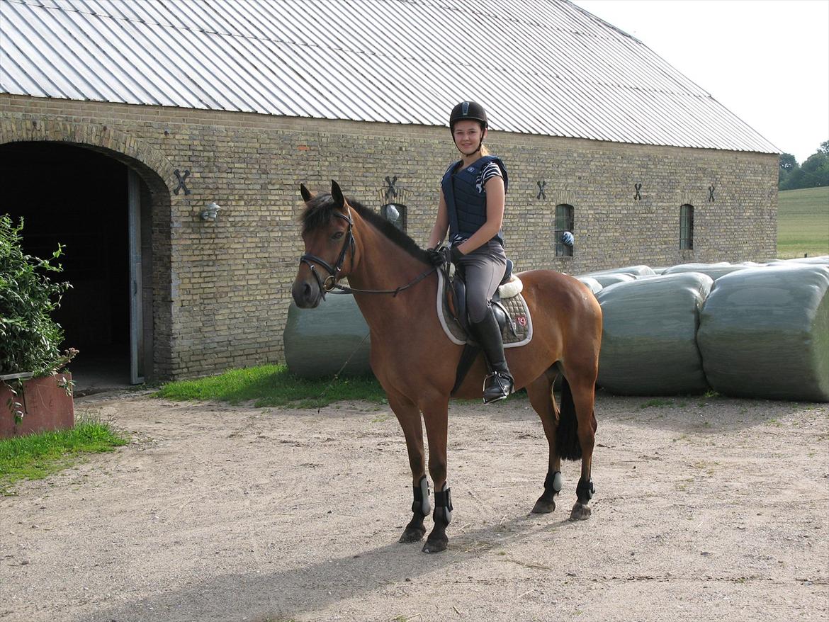 DSP Anton  billede 9