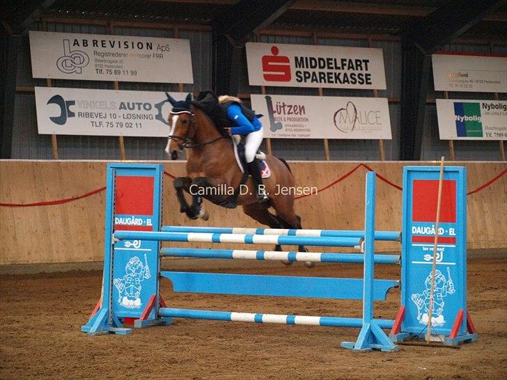 Zangersheide Elco Du Buisson Z - LA** 0 Fejl
Hedensted og Omegns Rideklub billede 15