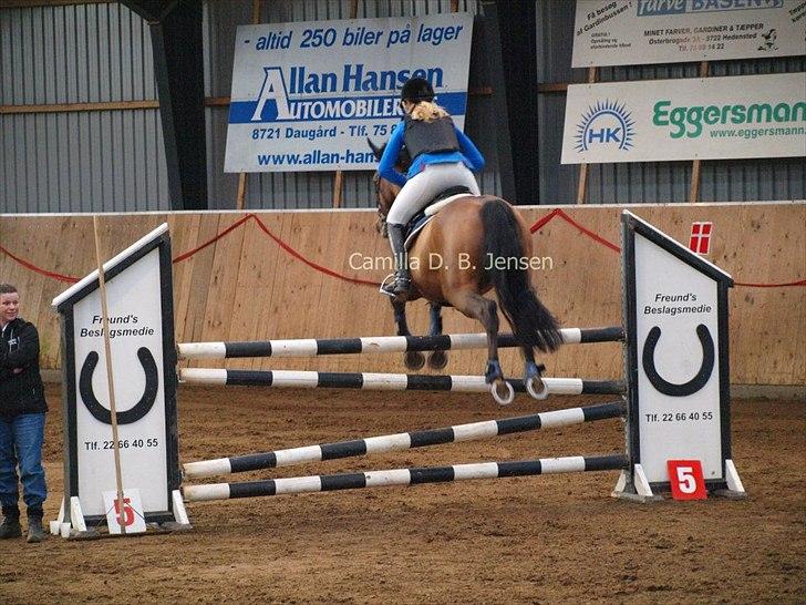 Zangersheide Elco Du Buisson Z - LA** 0 Fejl
Hedensted og Omegns Rideklub billede 18