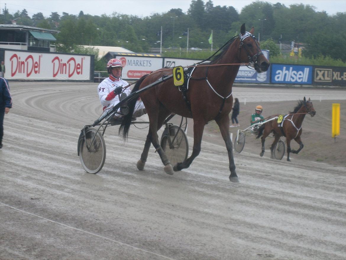 Traver maigold (s) billede 20