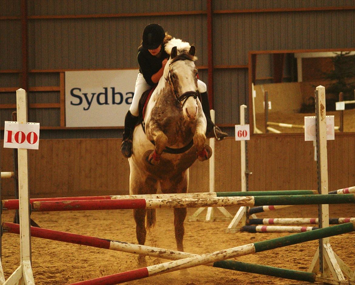 Anden særlig race MR MARTIN billede 13