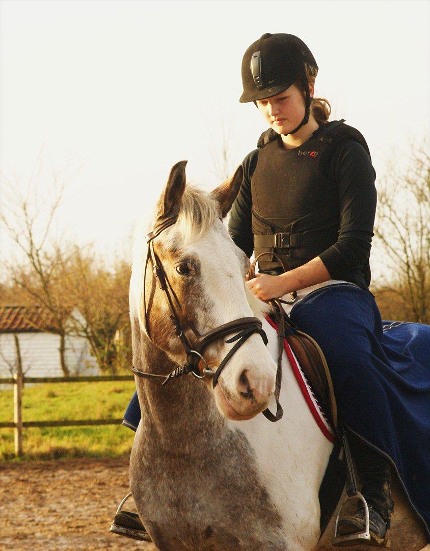 Anden særlig race MR MARTIN - Du er det bedste der er sket for mig. <3  billede 8