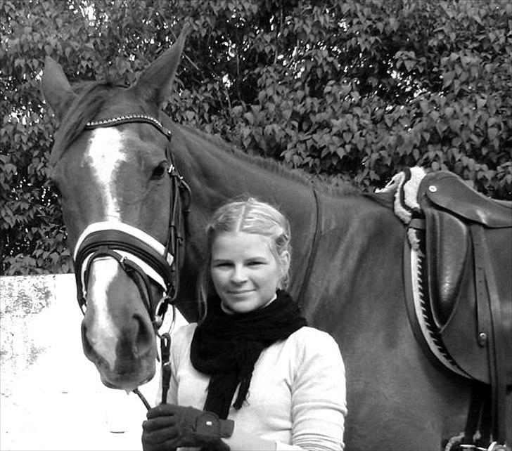 Fuldblod (XX) Cadence billede 20