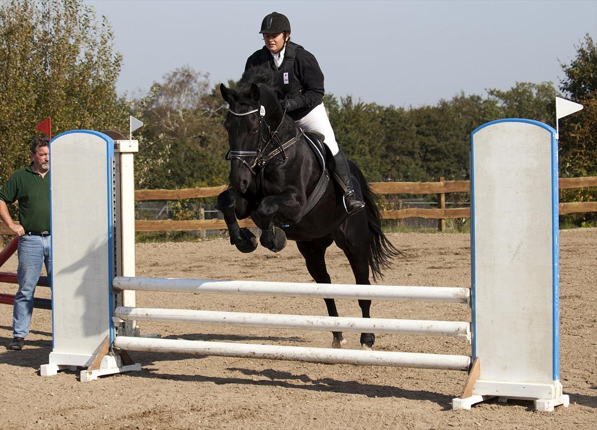 Anden særlig race Charmeur billede 11