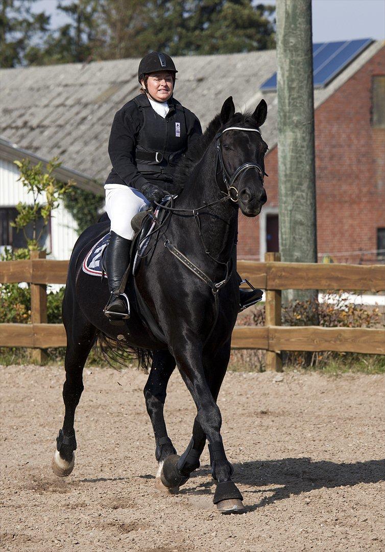 Anden særlig race Charmeur billede 12