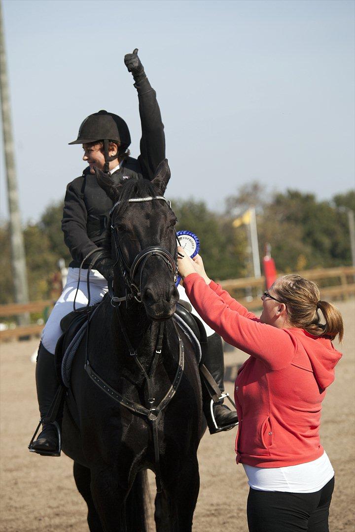 Anden særlig race Charmeur billede 15