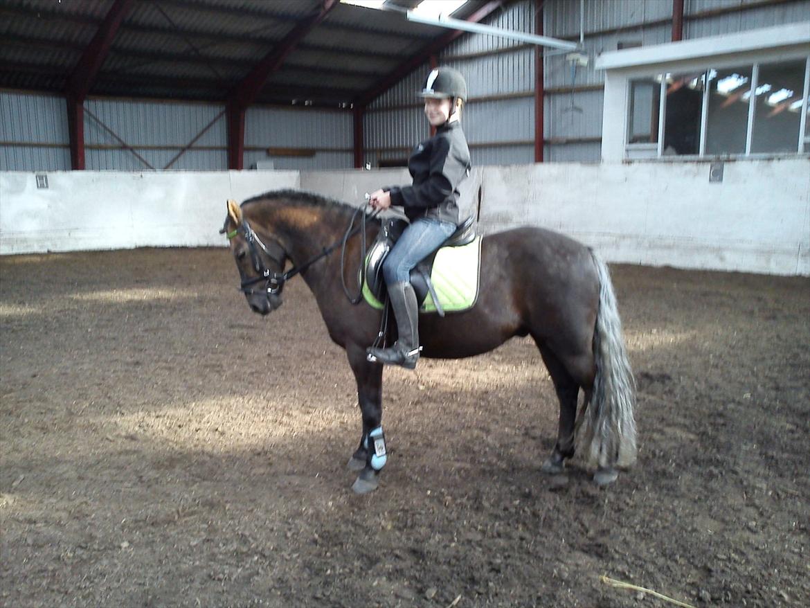 Anden særlig race Laban  - 1 uge inden vi skulle sige farvel :') Elsker dig<3 billede 15