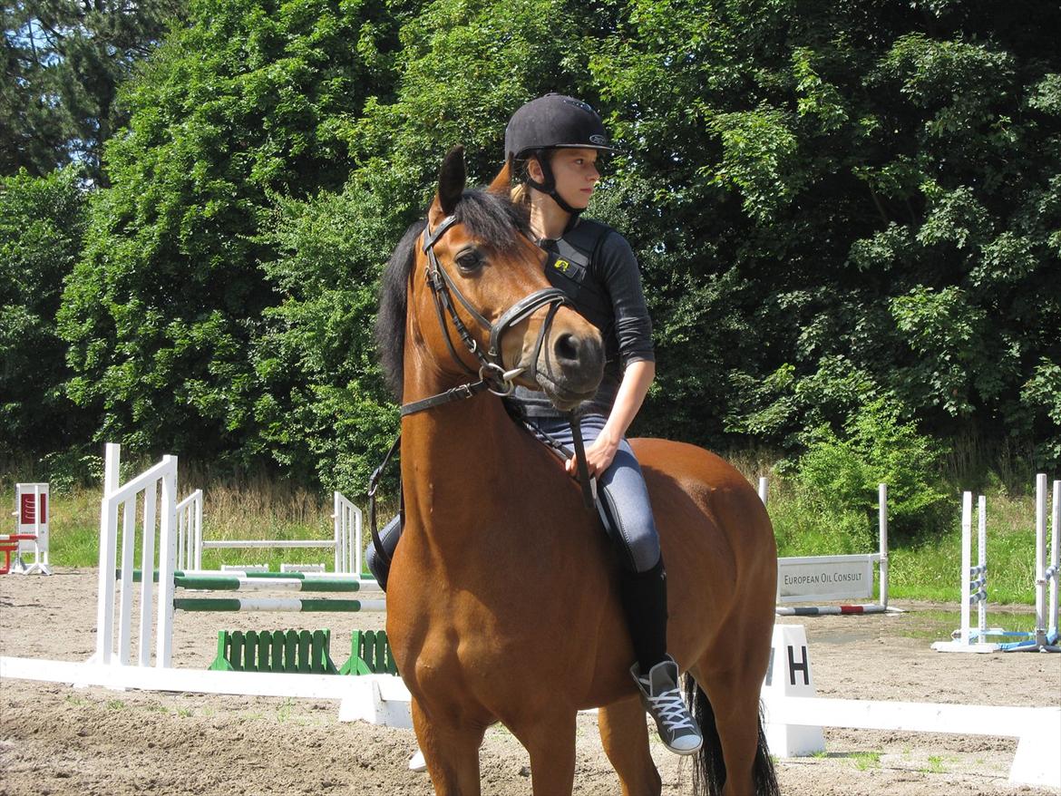 Anden særlig race Frk. Smilla<3 ~savnet~ - nr. 12
vi ser på noget meget spændende! :D<3 billede 12