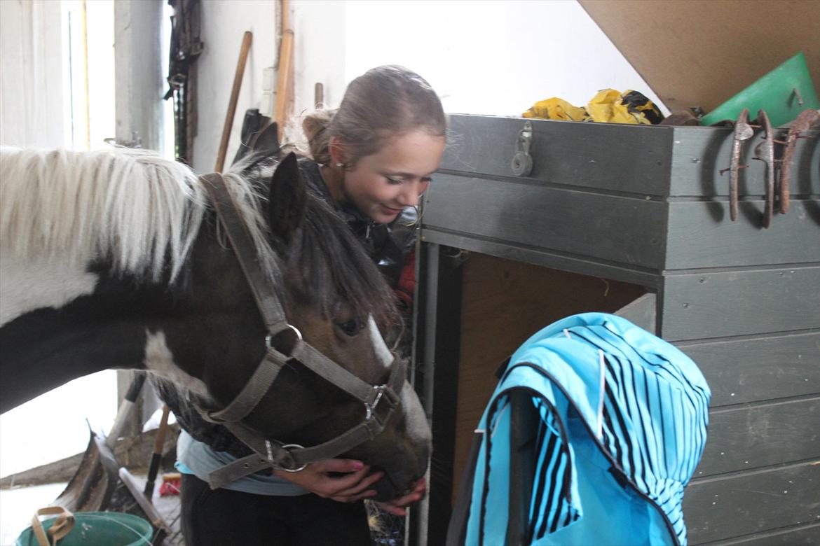 Pinto Kobjerggård's Pessoa - den dejligeste pony <3

Fotograf: Karoline Ryberg<3 billede 2