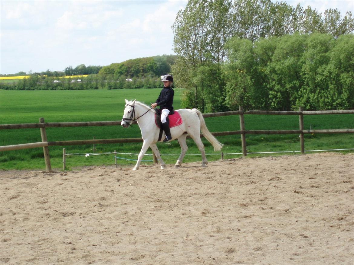 Anden særlig race Truska billede 8