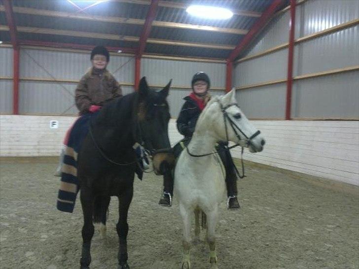 Tysk Sportspony Freja *SOLGT* :'( - Smukke Freja sammen med smukke Pedro:-)<3 billede 7