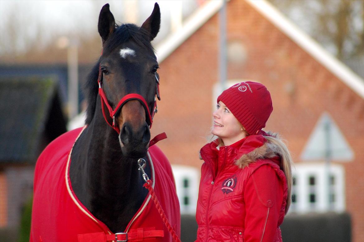 Trakehner Turned Up At Noon - Jeg elsker dig, Noon<3 billede 4
