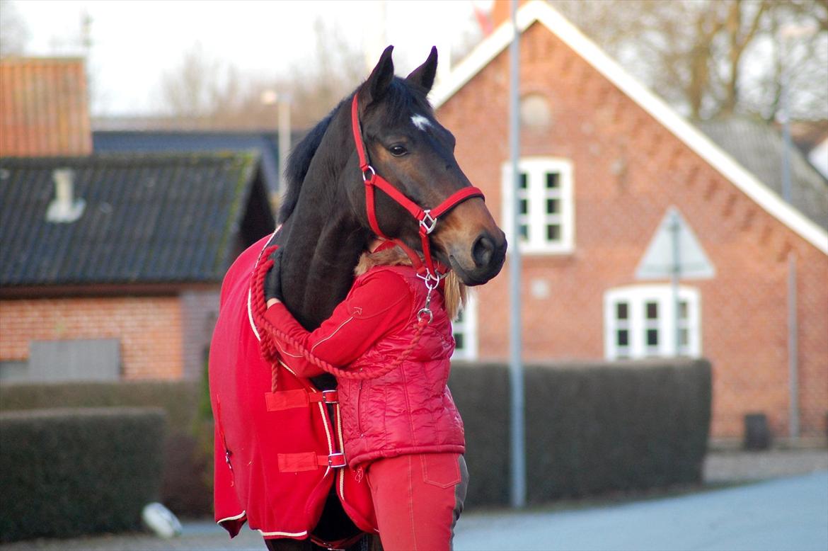 Trakehner Turned Up At Noon - Kraaaammer<3 billede 7