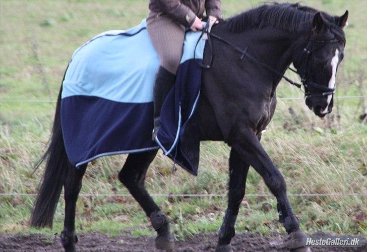 Traver Ikaros Herve - R.I.P billede 11