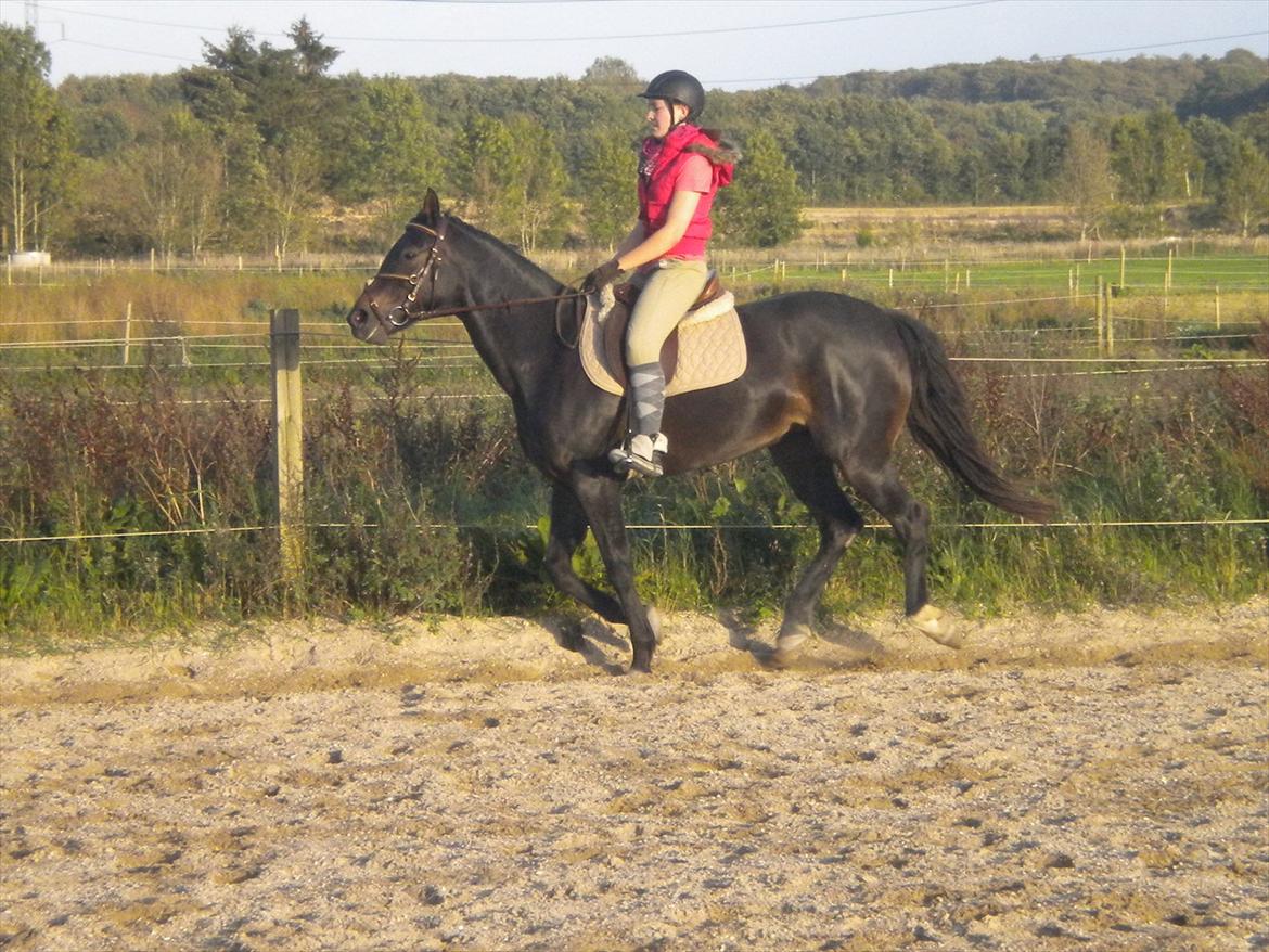 Traver Moenia Du Nj´or *Tøzzen* billede 4