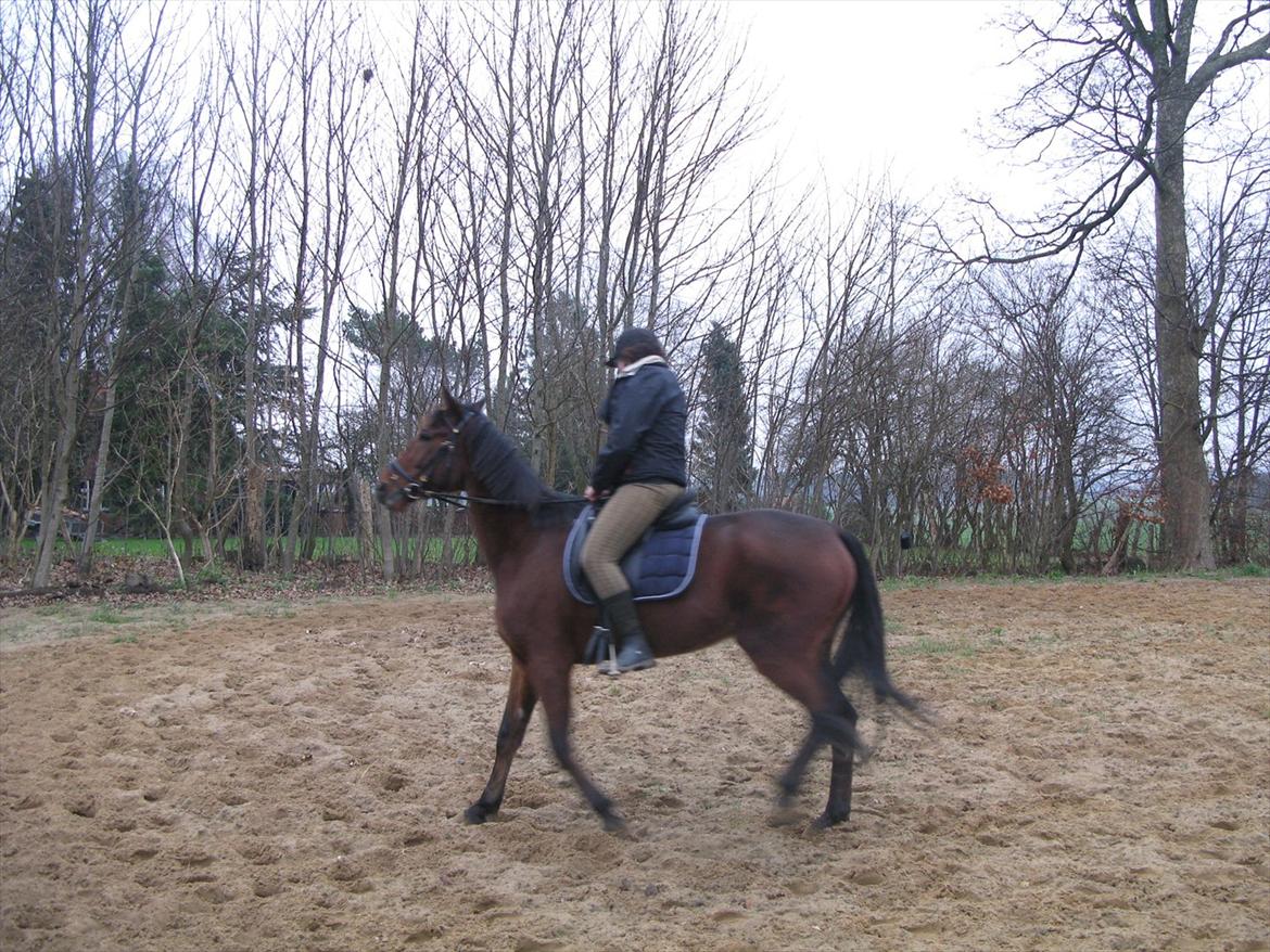 Traver Now Victory (gl. part) billede 4