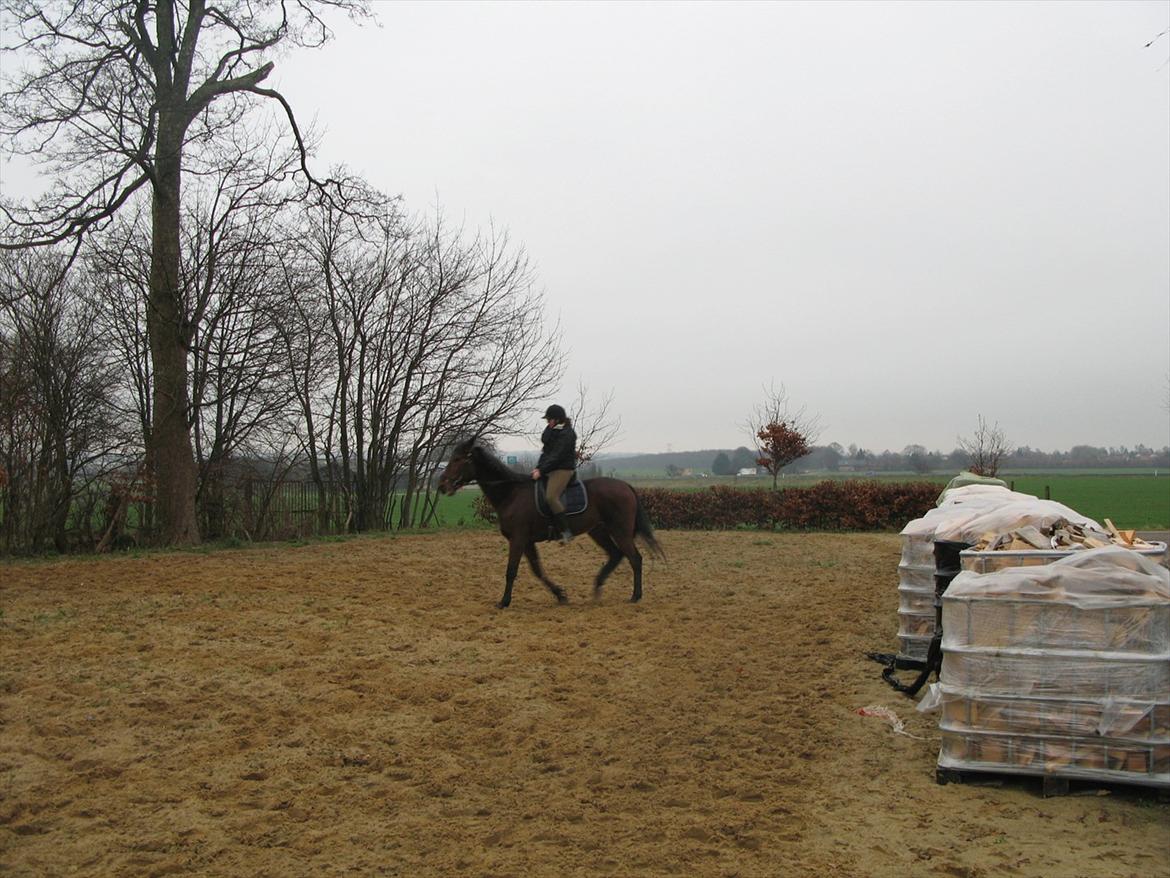 Traver Now Victory (gl. part) billede 5