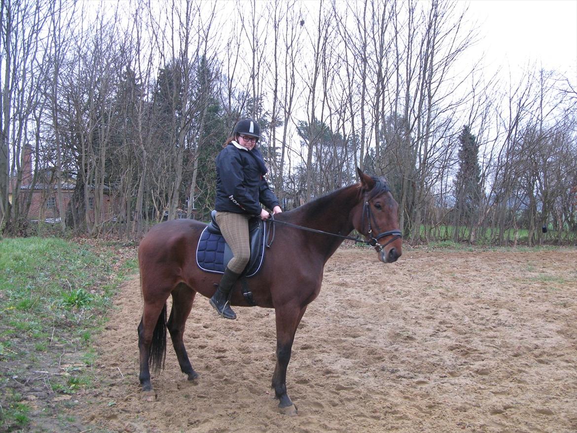 Traver Now Victory (gl. part) billede 8