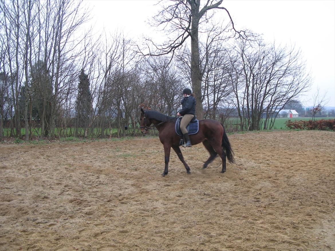 Traver Now Victory (gl. part) billede 9