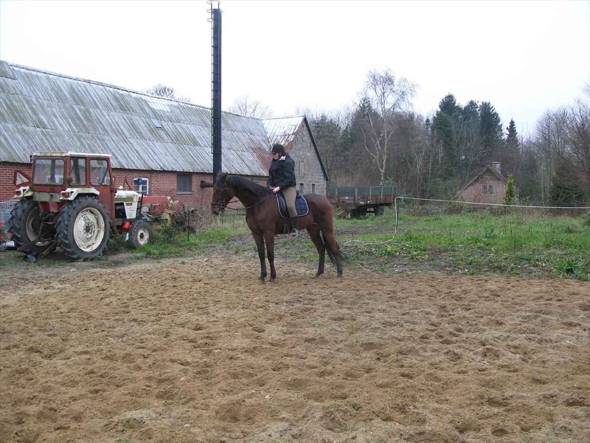 Traver Now Victory (gl. part) billede 10