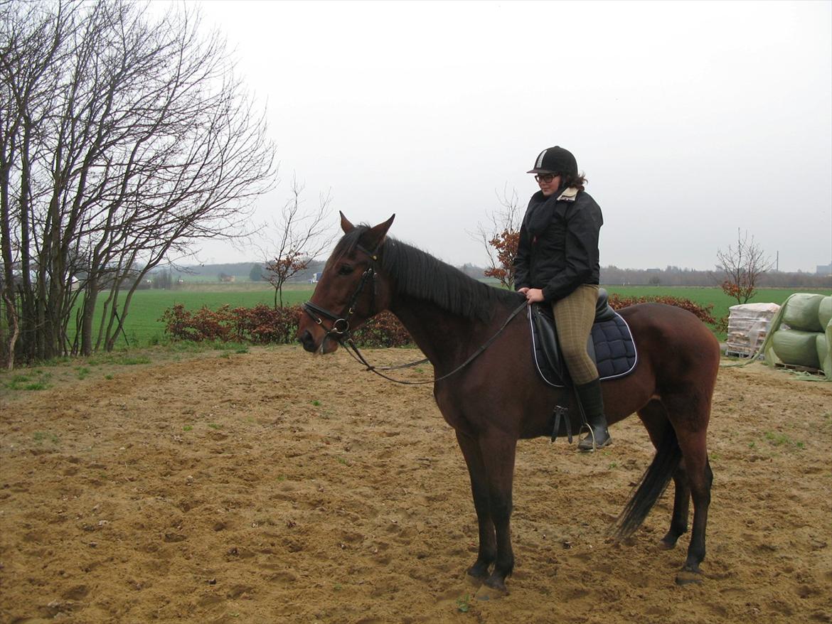 Traver Now Victory (gl. part) billede 12