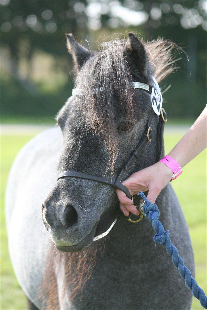 Miniature Emilie Bredager billede 14