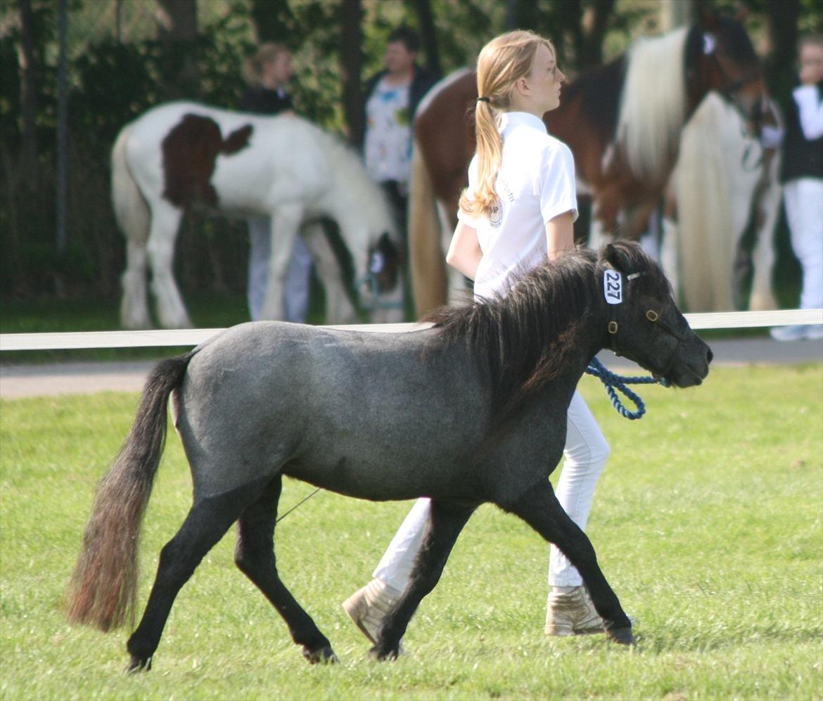 Miniature Emilie Bredager billede 15