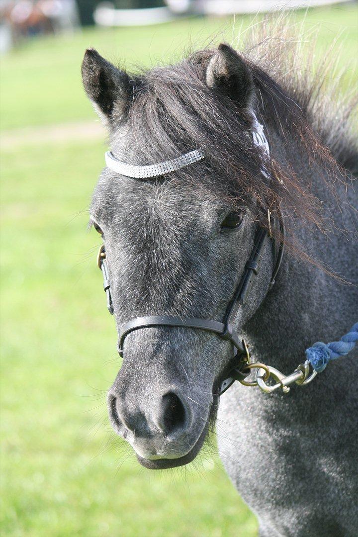 Miniature Emilie Bredager billede 16